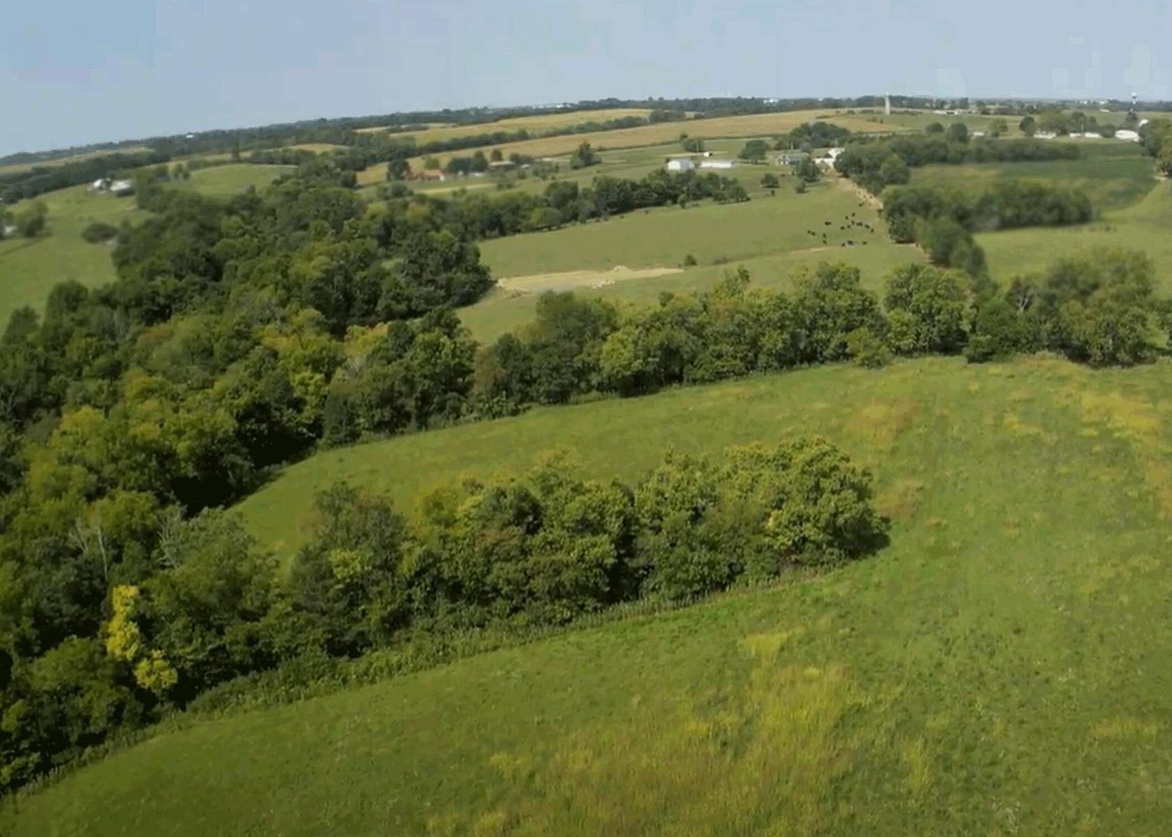 40 Acres of Agricultural Land for Sale in Springfield, Kentucky