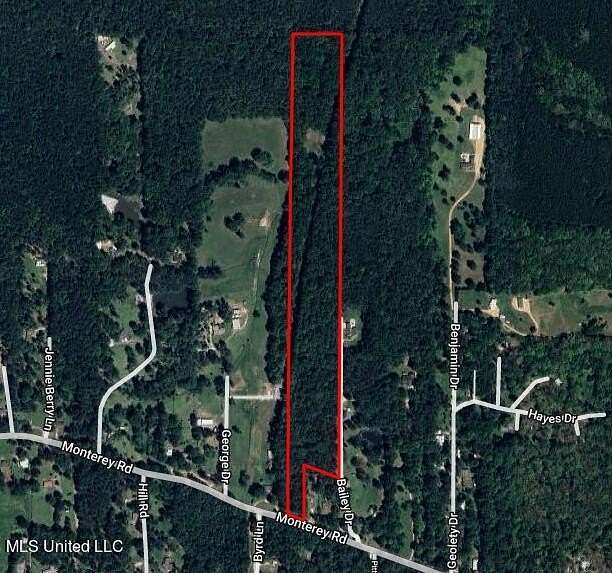 20 Acres of Recreational Land for Sale in Pearl, Mississippi