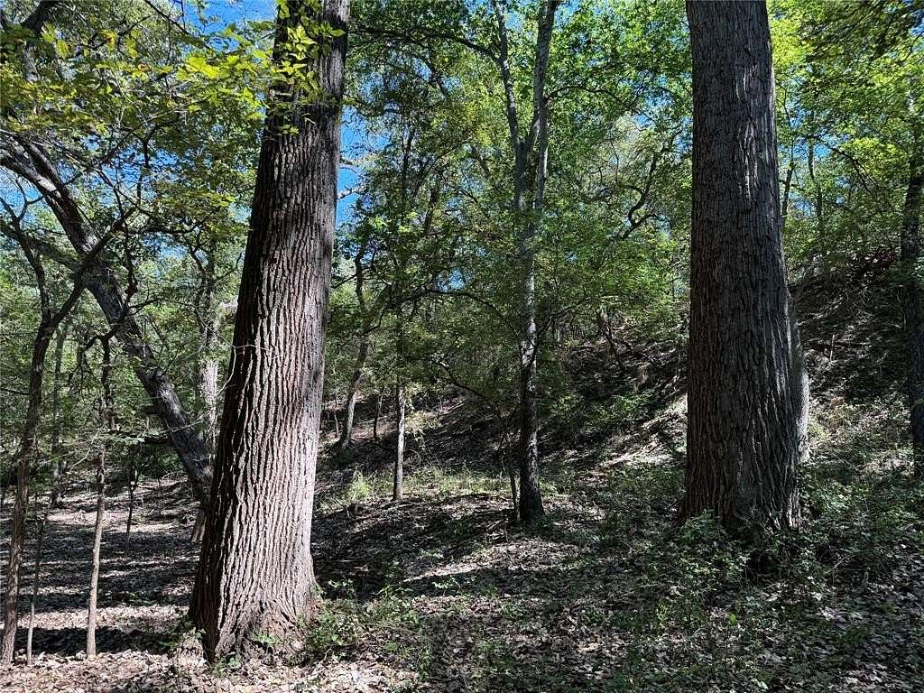 145.116 Acres of Land for Sale in Cleburne, Texas