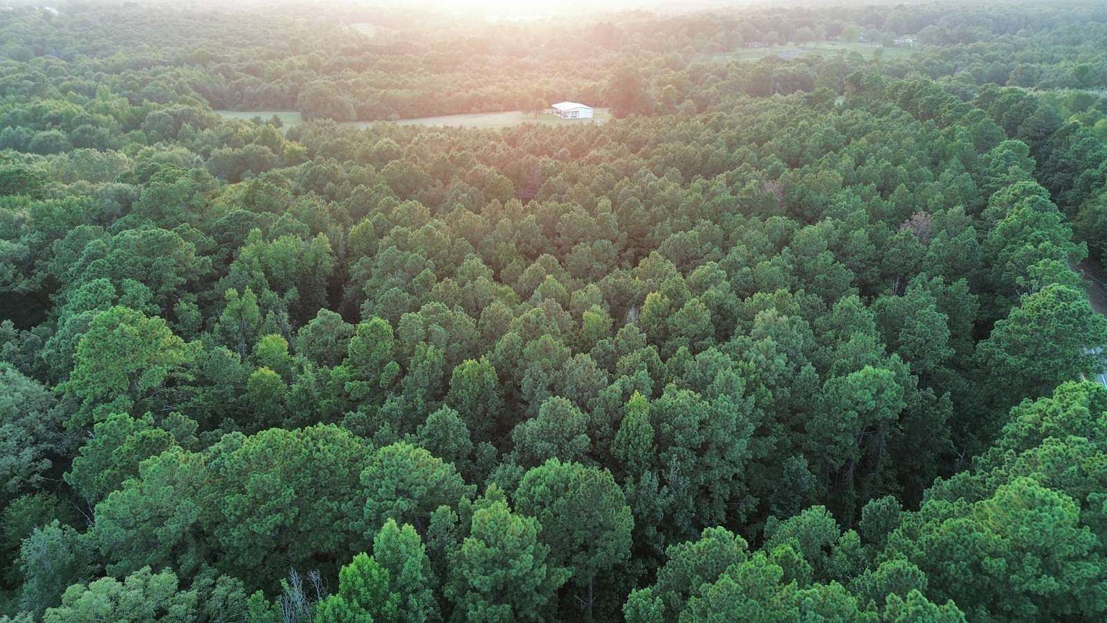 39.9 Acres of Land for Sale in Ashdown, Arkansas