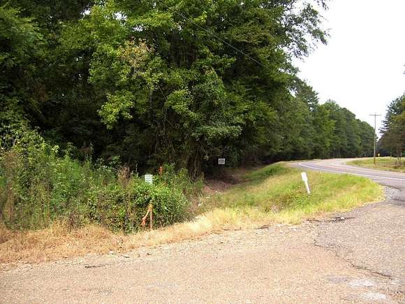 39.9 Acres of Land for Sale in Ashdown, Arkansas