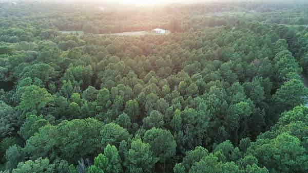 39.9 Acres of Land for Sale in Ashdown, Arkansas