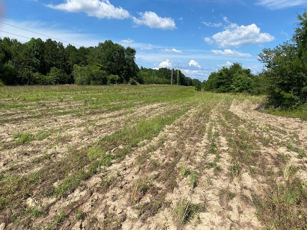 39 Acres of Agricultural Land for Sale in Elba, Alabama