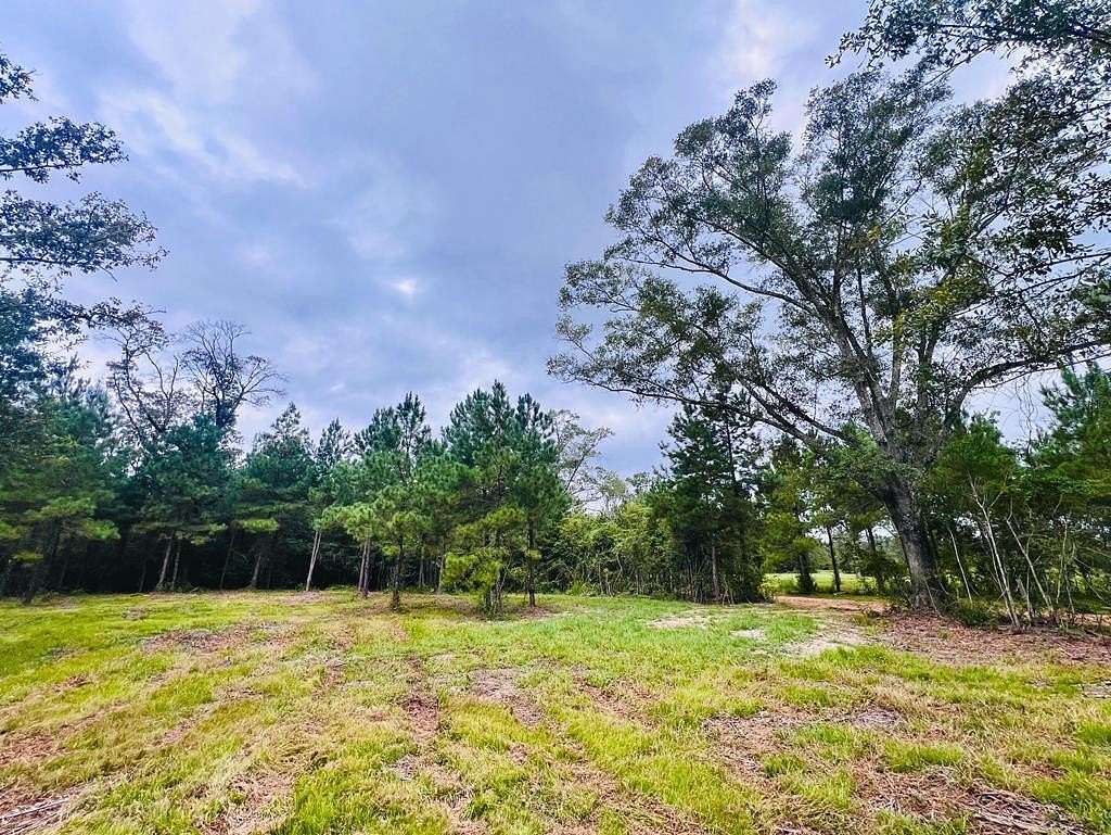 21.41 Acres of Land for Sale in Poplarville, Mississippi