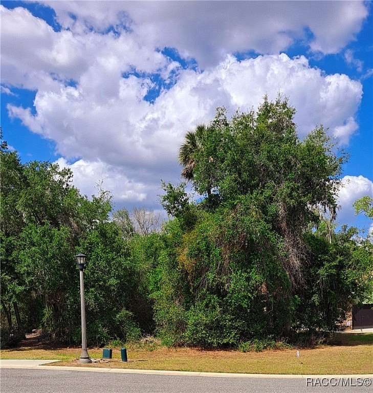 0.33 Acres of Residential Land for Sale in Hernando, Florida