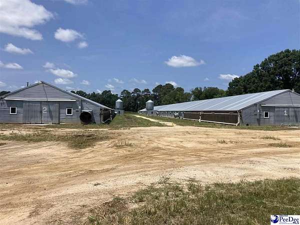 4.64 Acres of Improved Mixed-Use Land for Sale in Blenheim, South Carolina