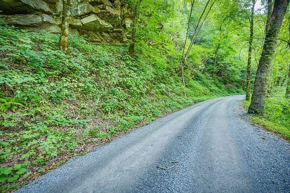 141 Acres of Recreational Land for Sale in Saltville, Virginia