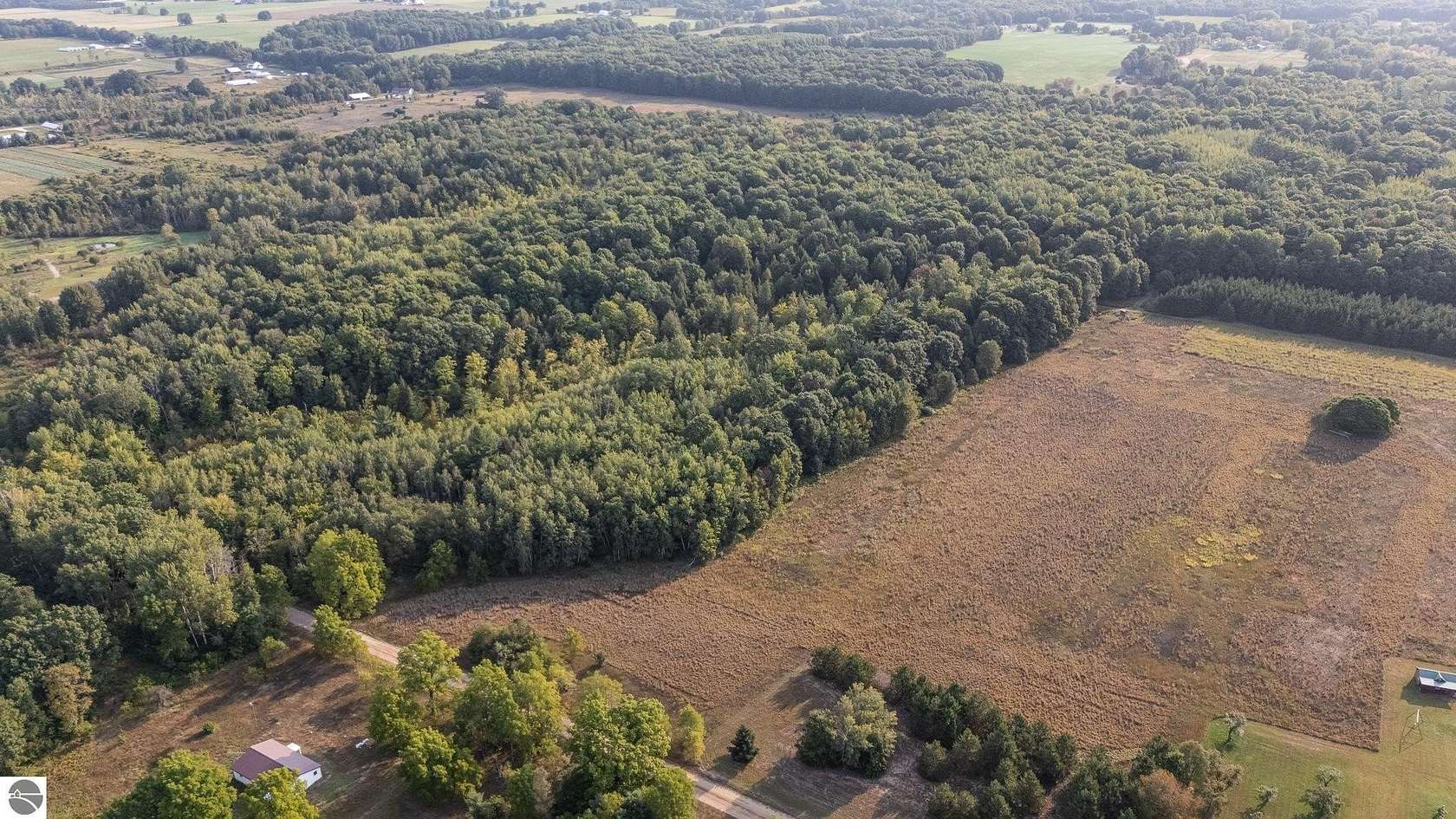 30 Acres of Land for Sale in Blanchard, Michigan