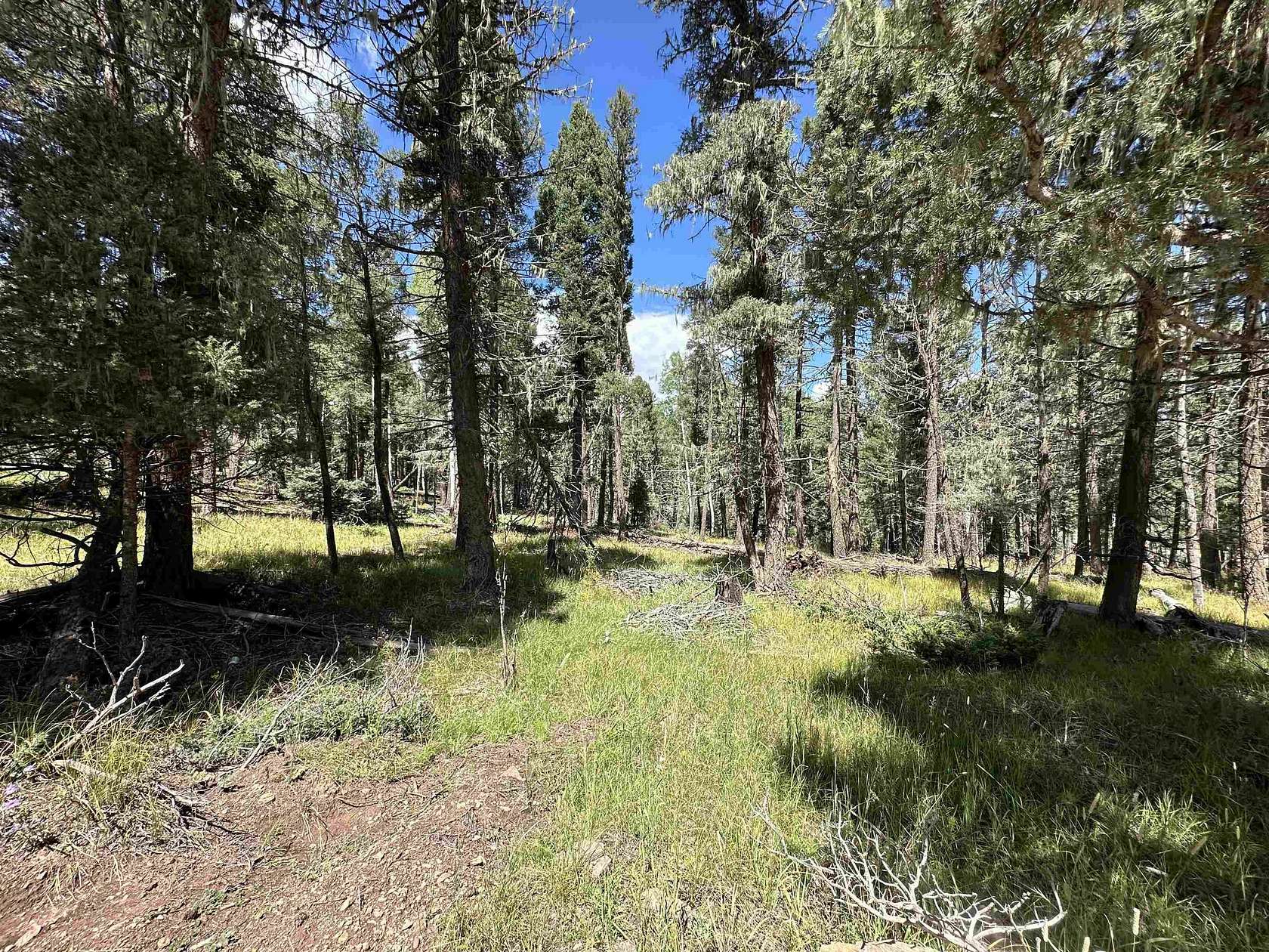 0.73 Acres of Land for Sale in Angel Fire, New Mexico