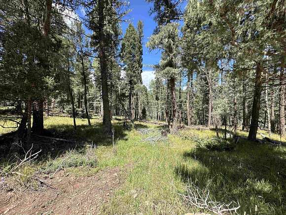 0.73 Acres of Residential Land for Sale in Angel Fire, New Mexico