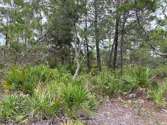 0.21 Acres of Land for Sale in Panacea, Florida