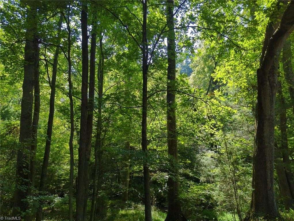 9.75 Acres of Land for Sale in Mocksville, North Carolina