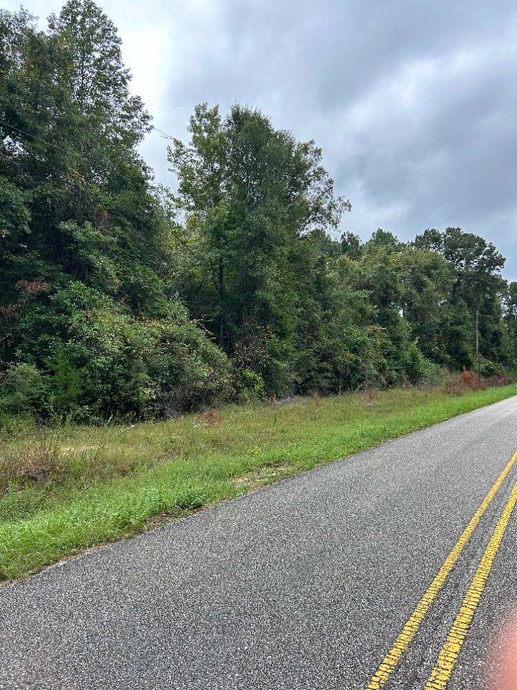 19 Acres of Land for Sale in Evergreen, Alabama