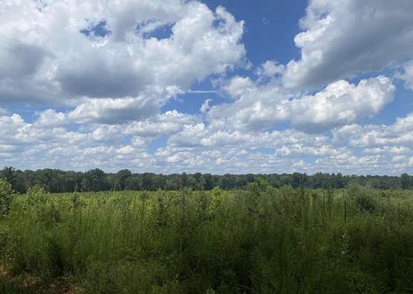 11.7 Acres of Land for Sale in Troy, South Carolina