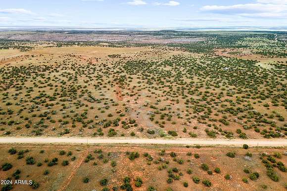 31.68 Acres of Recreational Land for Sale in St. Johns, Arizona