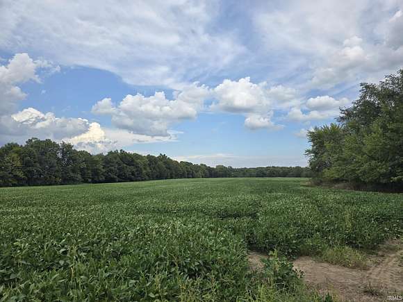 75 Acres of Recreational Land & Farm for Sale in Butler, Indiana