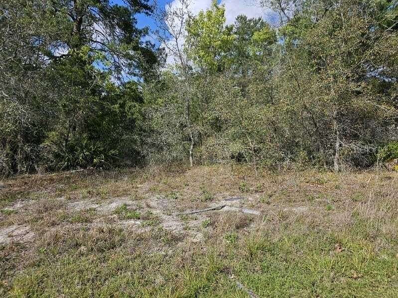 0.46 Acres of Residential Land for Sale in Weeki Wachee, Florida