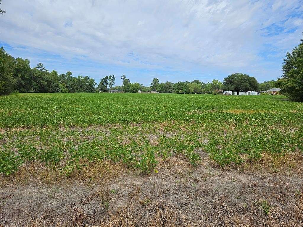 15.35 Acres of Land for Sale in Olanta, South Carolina