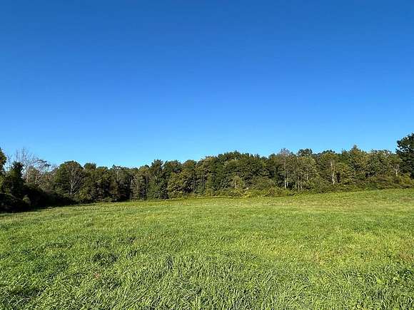 46.6 Acres of Land for Sale in Alpine, New York