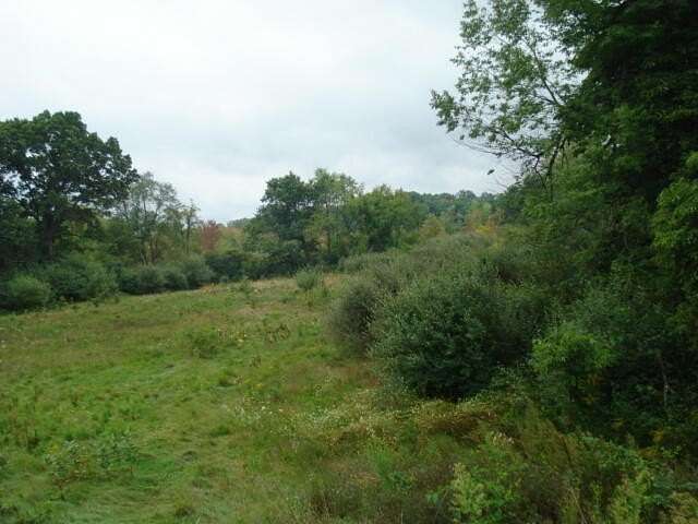 29.6 Acres of Recreational Land for Sale in Jackson, Michigan