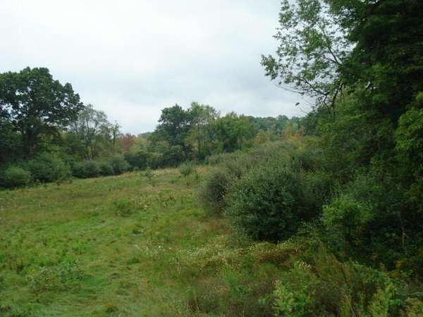 29.6 Acres of Recreational Land for Sale in Jackson, Michigan