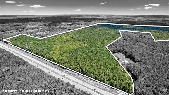 262.44 Acres of Mixed-Use Land for Sale in Fleming, Georgia