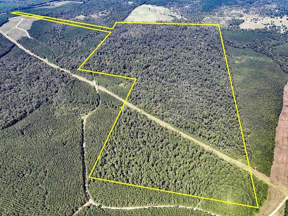 205 Acres of Recreational Land for Sale in Seven Oaks, Texas