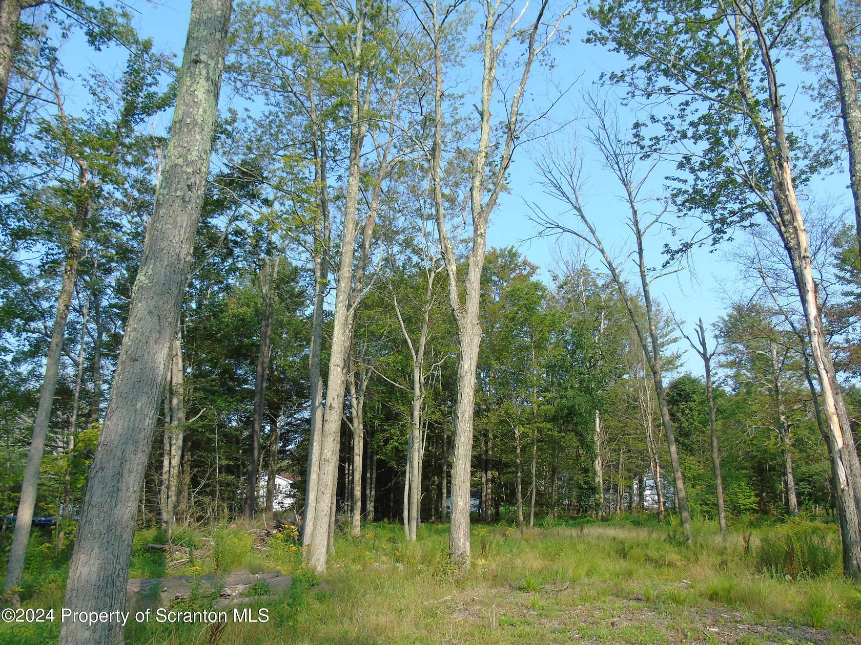 1 Acre of Residential Land for Sale in Spring Brook Township, Pennsylvania