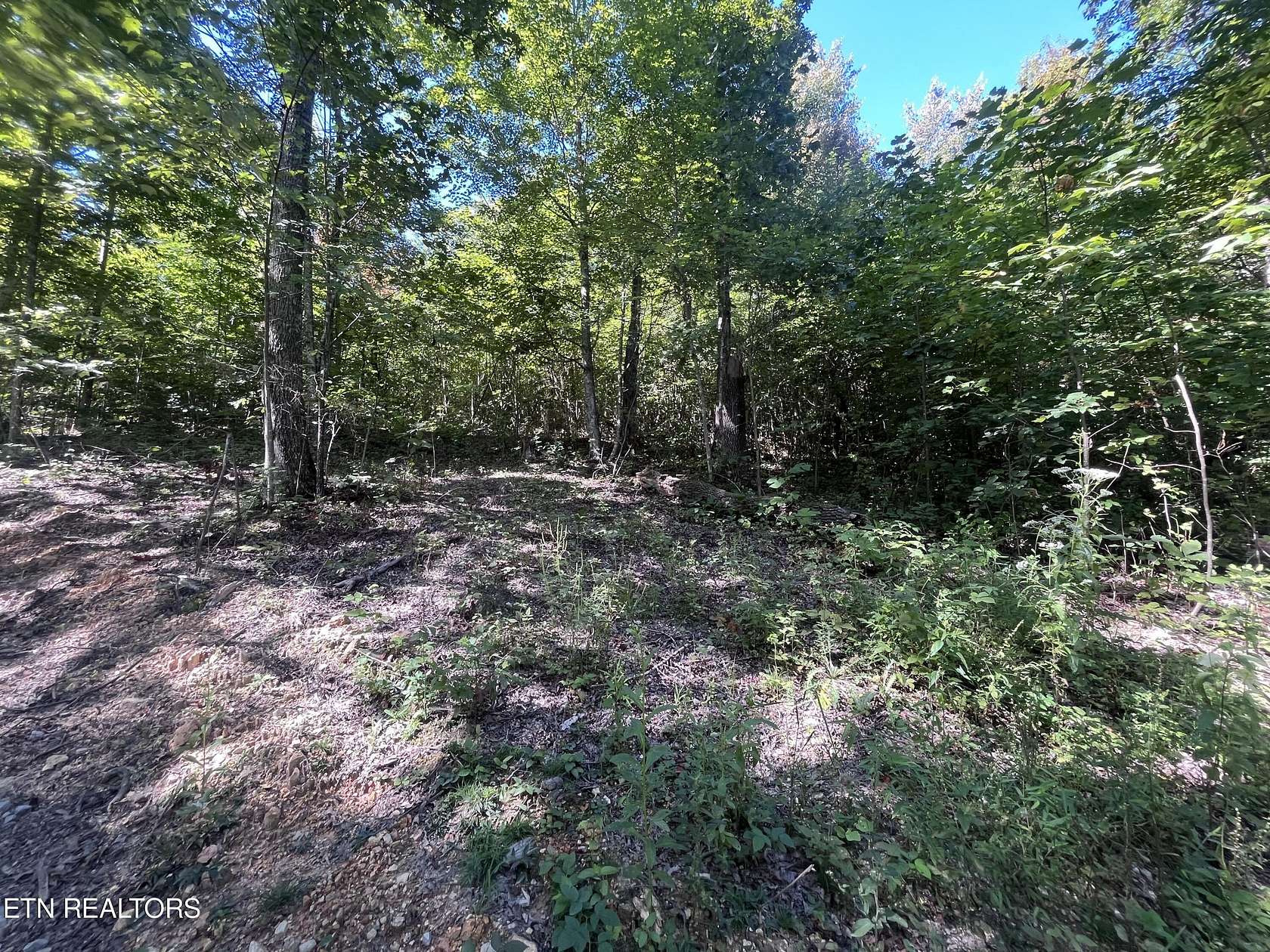 6.03 Acres of Land for Sale in Tazewell, Tennessee