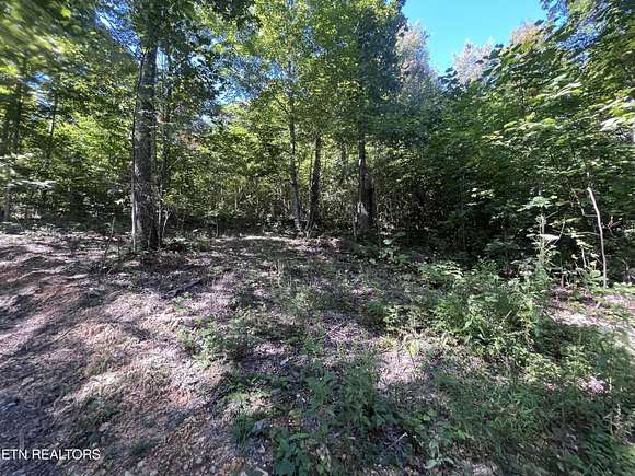 6.03 Acres of Land for Sale in Tazewell, Tennessee