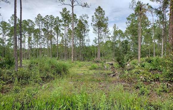 1.14 Acres of Land for Sale in Bunnell, Florida