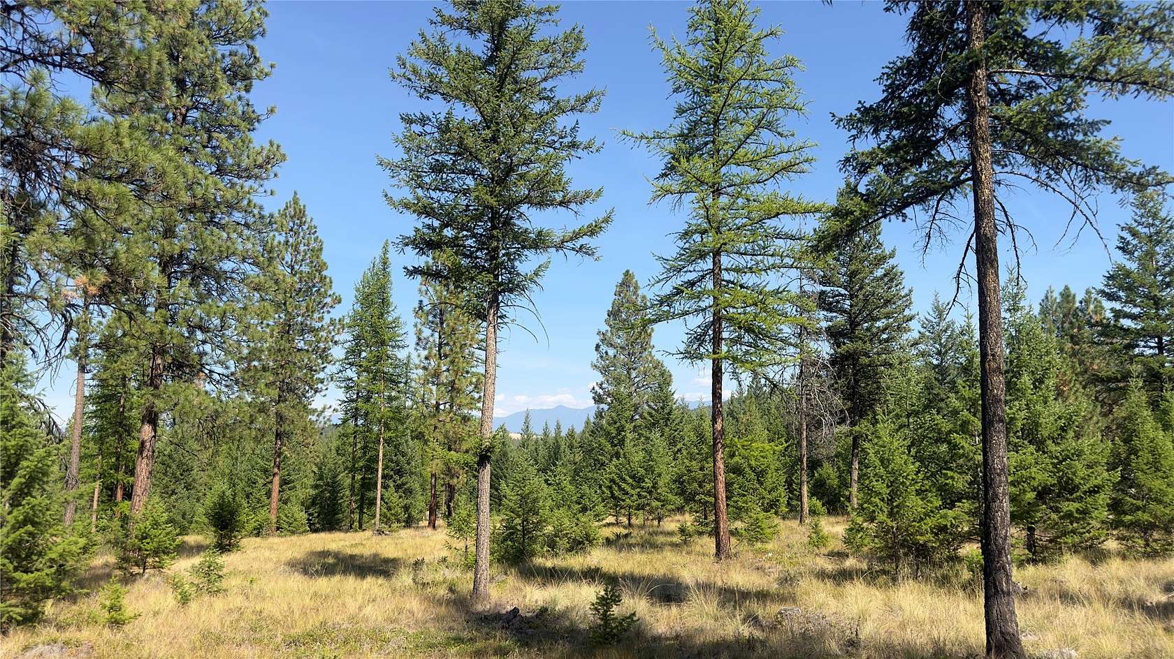 2.73 Acres of Residential Land for Sale in Rexford, Montana