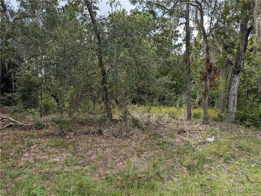 0.23 Acres of Residential Land for Sale in Citrus Springs, Florida