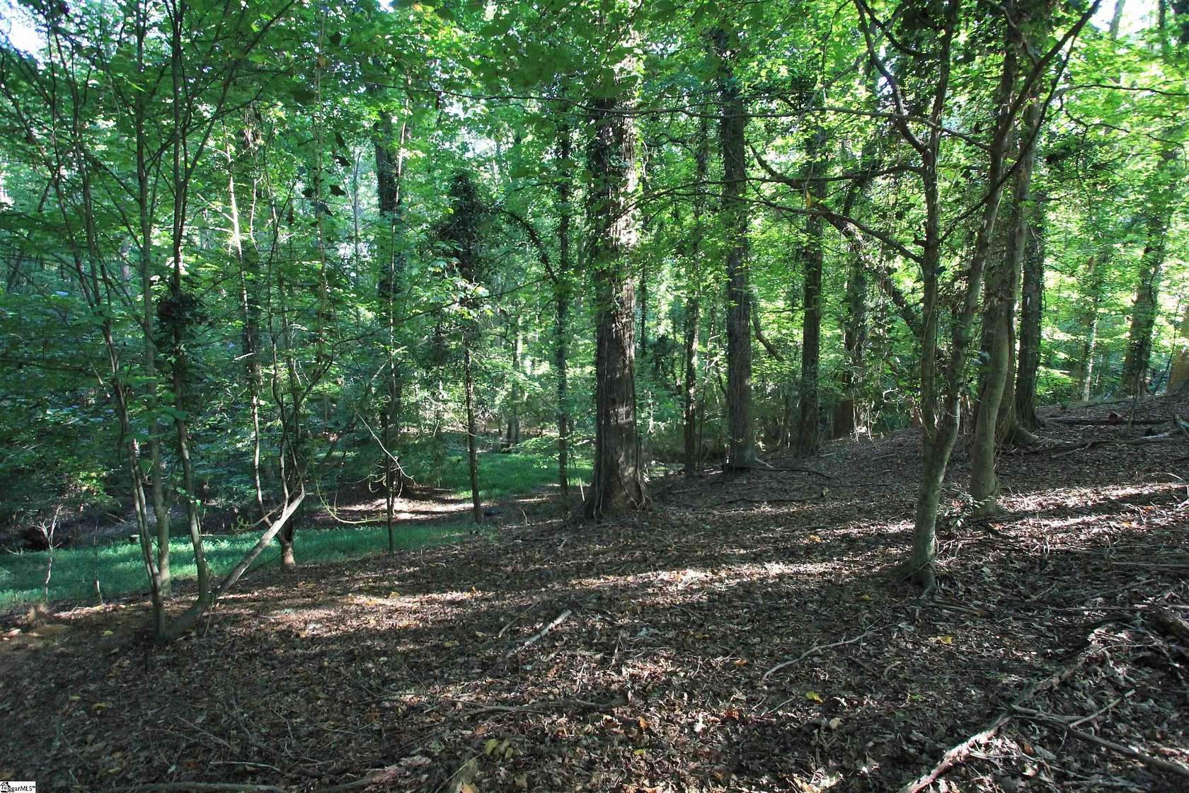 1.64 Acres of Residential Land for Sale in Woodruff, South Carolina