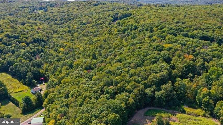 13.06 Acres of Land for Sale in Grantsville, Maryland