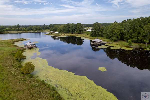 14.8 Acres of Recreational Land for Sale in Atlanta, Texas