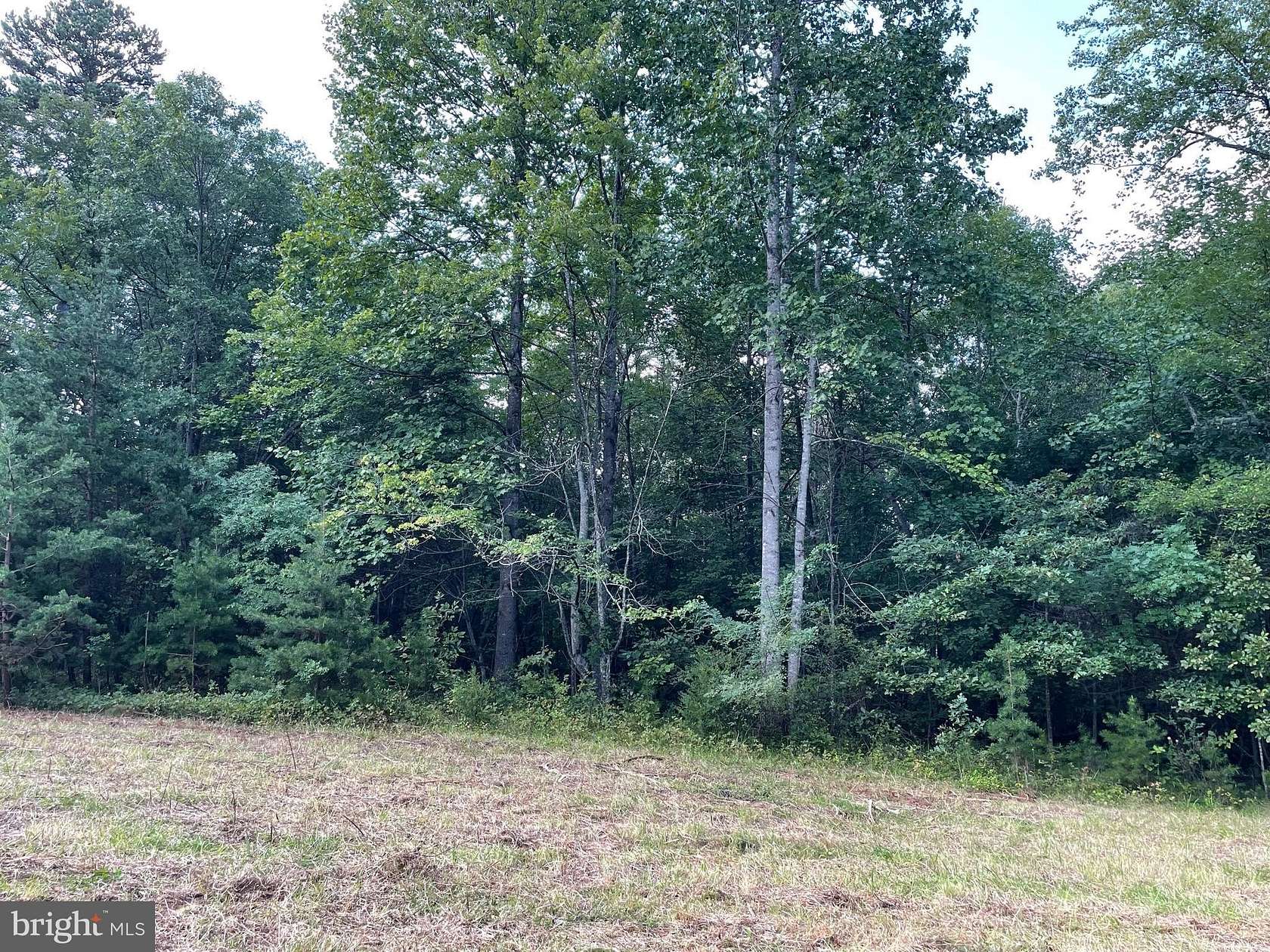 9 Acres of Land for Sale in Culpeper, Virginia