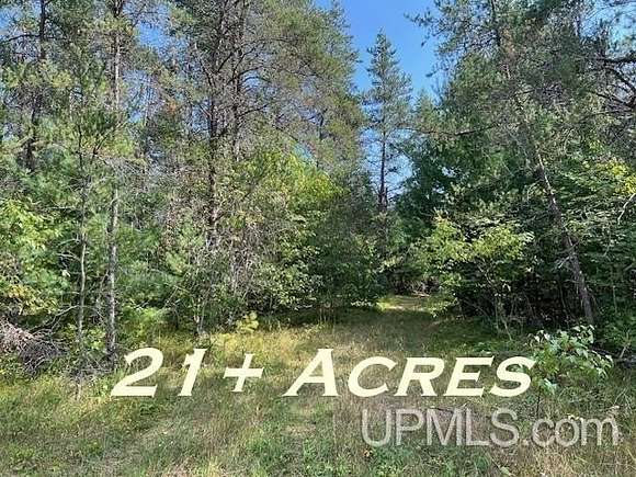 21.15 Acres of Recreational Land for Sale in Beecher Town, Wisconsin