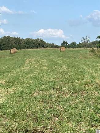 43 Acres of Land for Sale in Mayfield, Kentucky