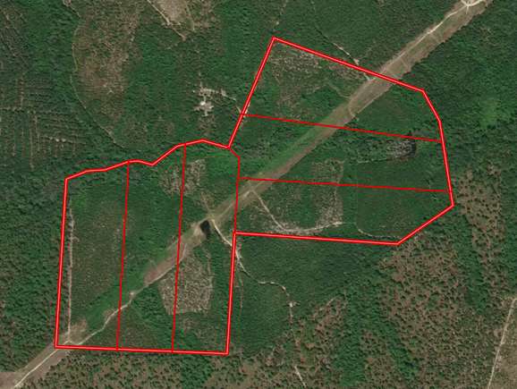 118.6 Acres of Recreational Land for Sale in Ellerbe, North Carolina