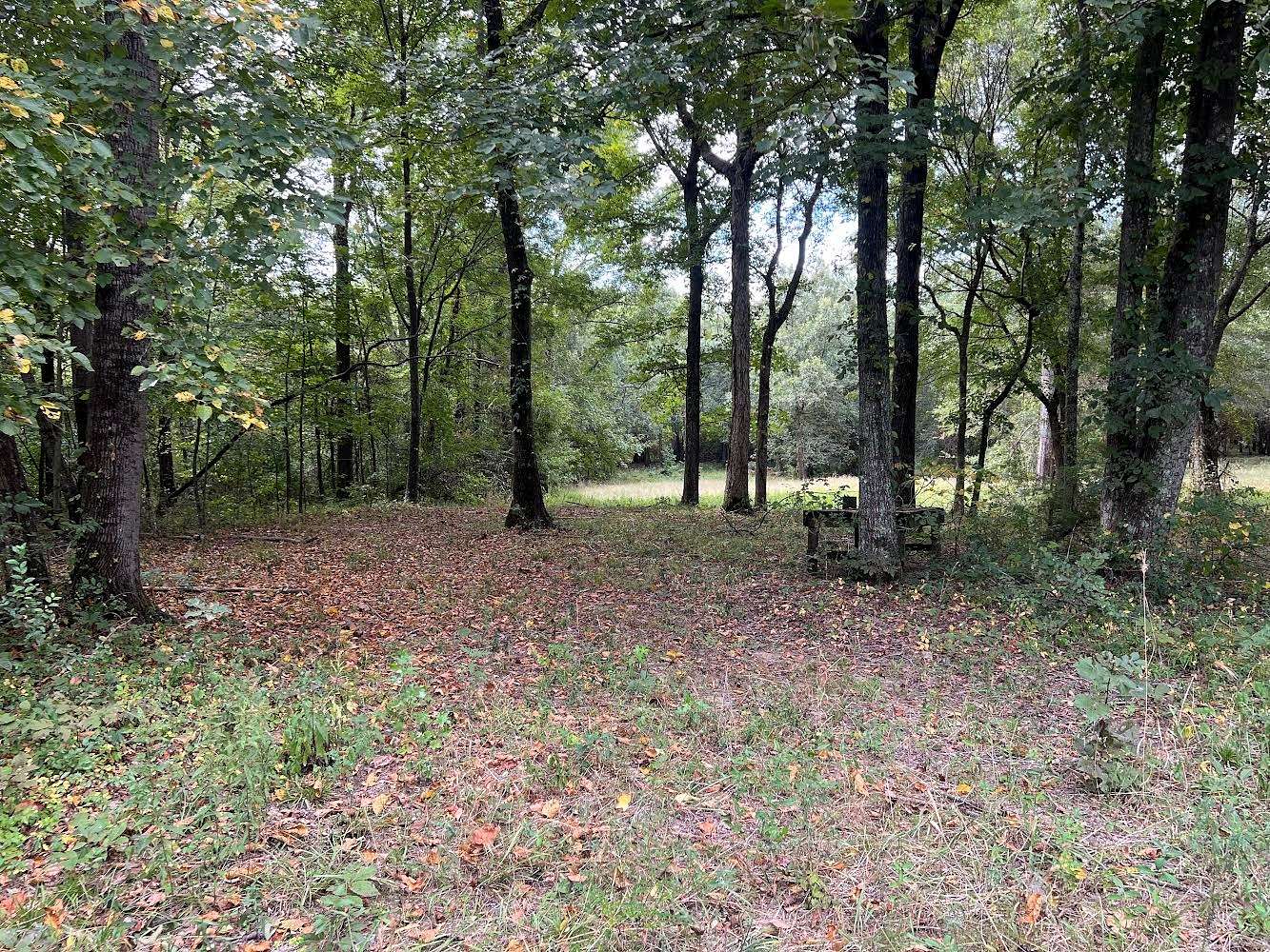 40 Acres of Recreational Land & Farm for Sale in Gilbert, Louisiana