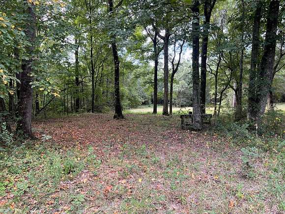 40 Acres of Recreational Land & Farm for Sale in Gilbert, Louisiana