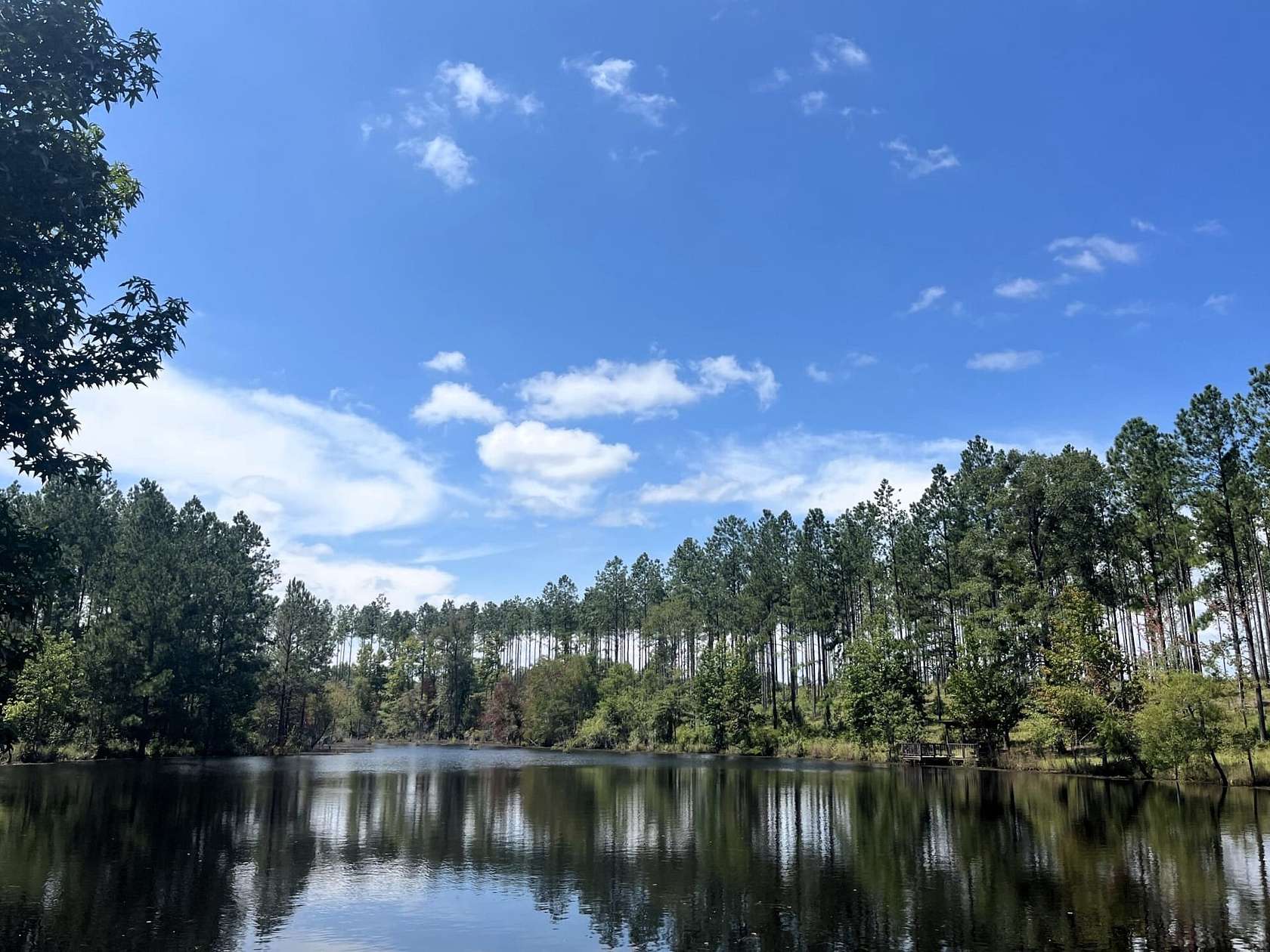 100 Acres of Recreational Land for Sale in Adrian, Georgia