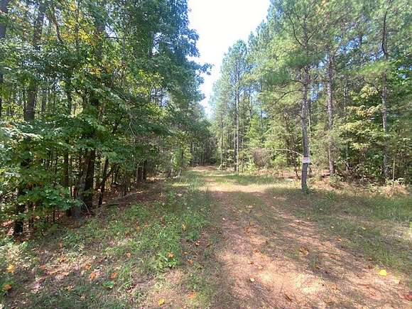 200 Acres of Recreational Land & Farm for Sale in Carbon Hill, Alabama