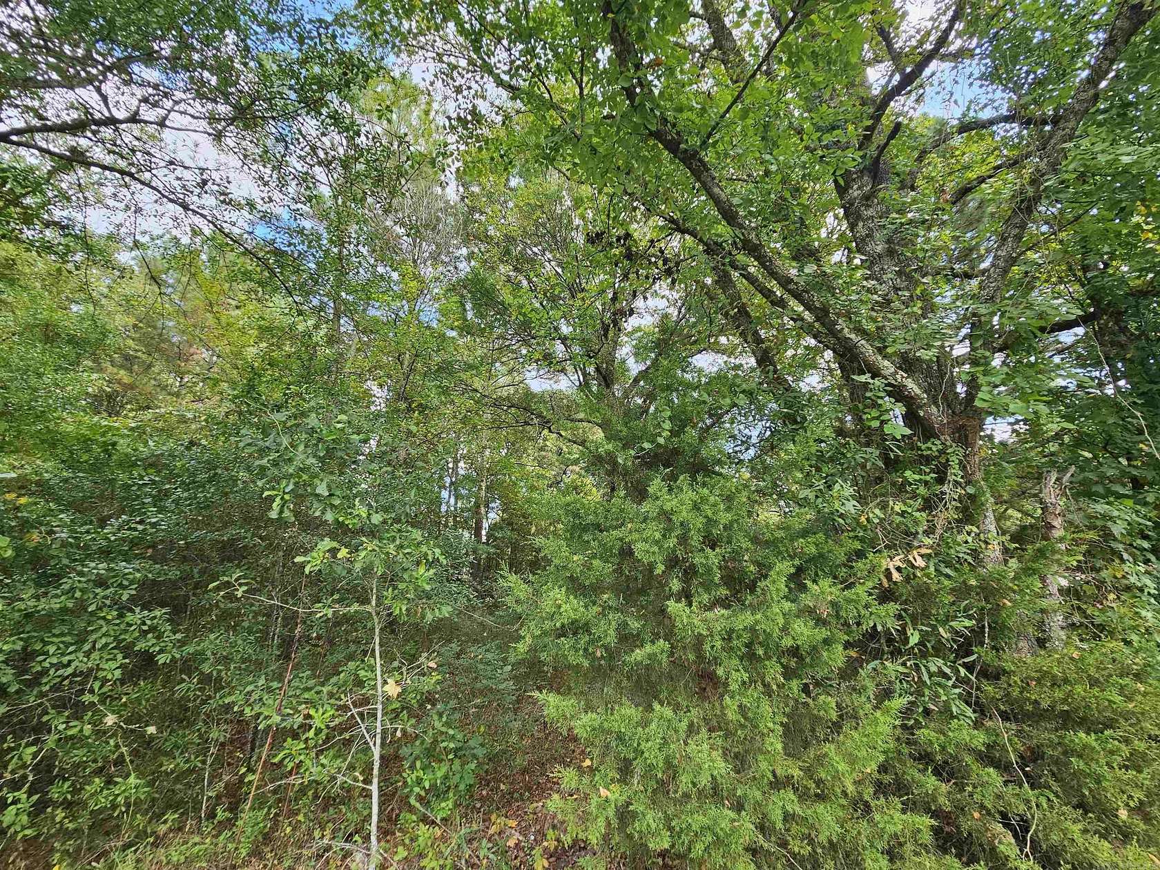 0.88 Acres of Residential Land for Sale in Horatio, Arkansas LandSearch