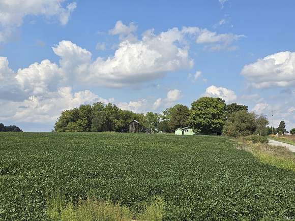 53.232 Acres of Land with Home for Sale in Butler, Indiana