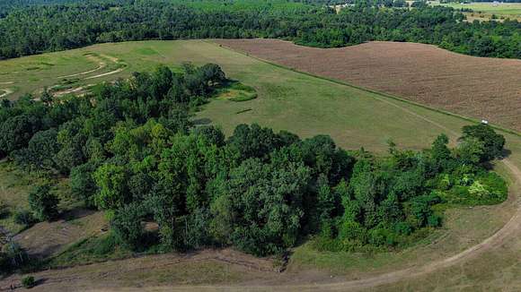 120 Acres of Agricultural Land for Sale in Prattville, Alabama