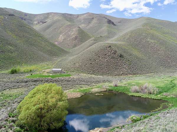 80 Acres of Land for Sale in Bellevue, Idaho