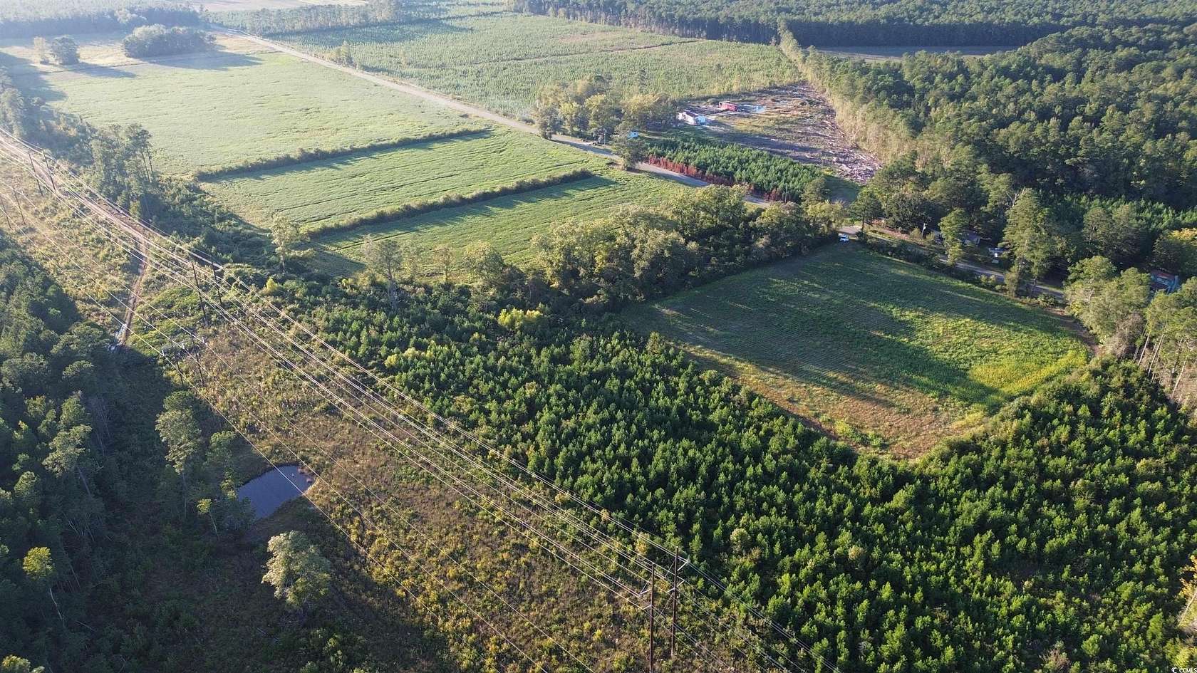 44.8 Acres of Land for Sale in Hemingway, South Carolina