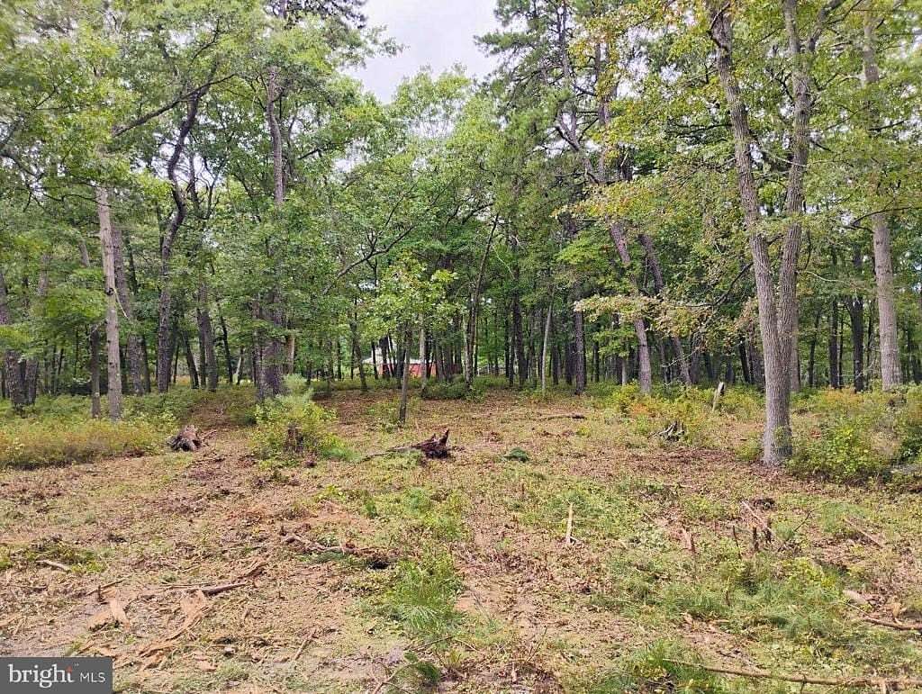 20 Acres of Recreational Land for Sale in Egg Harbor City, New Jersey